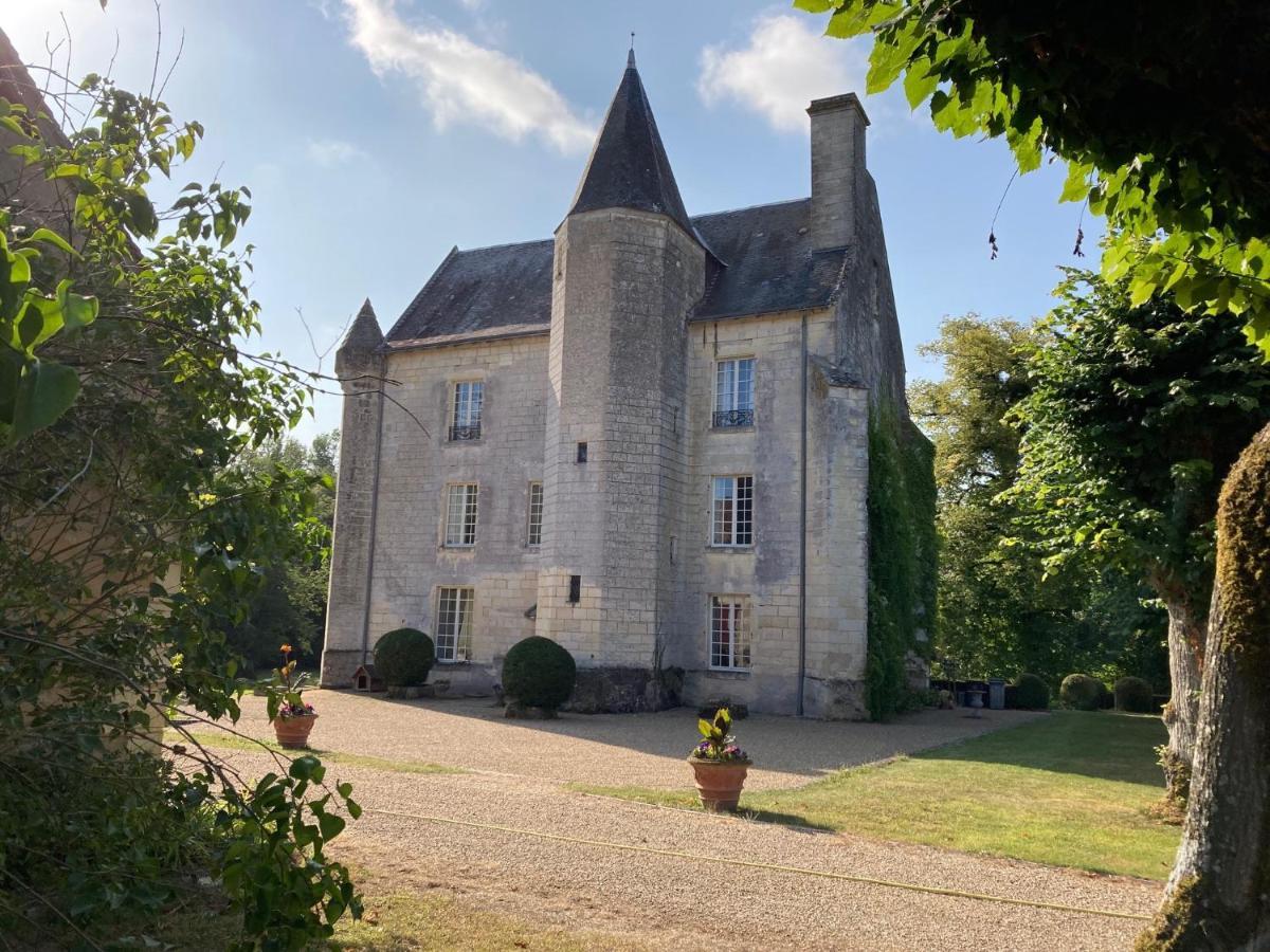 Chateau De Re Le Petit-Pressigny Экстерьер фото