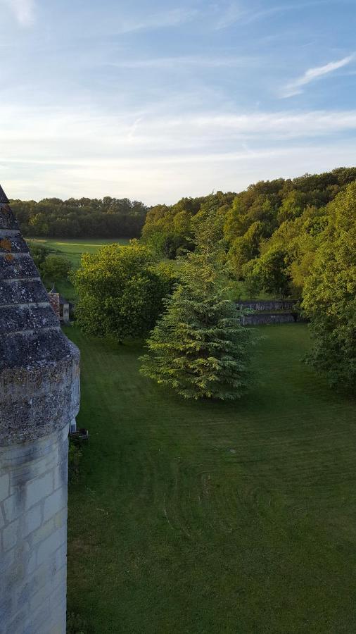 Chateau De Re Le Petit-Pressigny Экстерьер фото